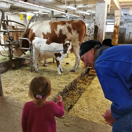 بيت ضيافة Taurer