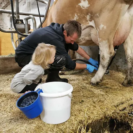 Taurer Kals-am Großglockner